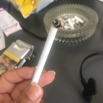 Philip Morris Sigarada Odun Çıkması