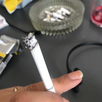 Philip Morris Sigarada Odun Çıkması