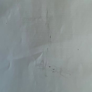 Rotring Kalem Silgi Ve Kalem