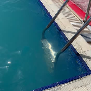 Kartaltepe Aquapark Havuz Ve Tesiste Sorunlar