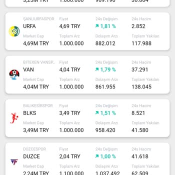 Exenpay Token Dolaşım Miktarı