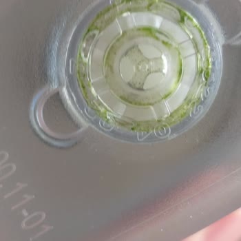 Brita Yosunlaşma Başladı Sürahide