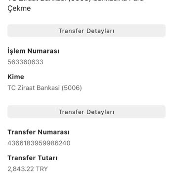 Payoneer Ödememi Yapmadı Yardım