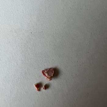 Magnum Dondurmanın İçinden Kabuk Çıktı