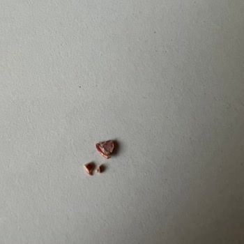 Magnum Dondurmanın İçinden Kabuk Çıktı