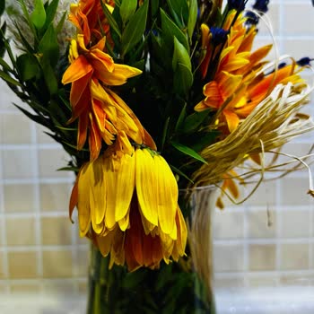 Çiçek Sepeti Solmuş Ayıplı Ürün Yolladı