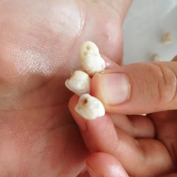 Reis Gıda Reis Kuru Fasulye