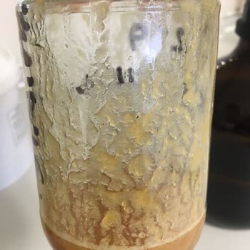 Anavarza Bal Beyaz Tortu