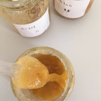 Anavarza Bal Beyaz Tortu