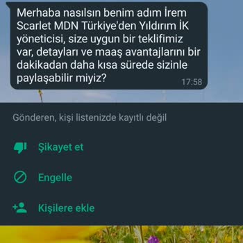 WhatsApp'dan Mesaj Geldi