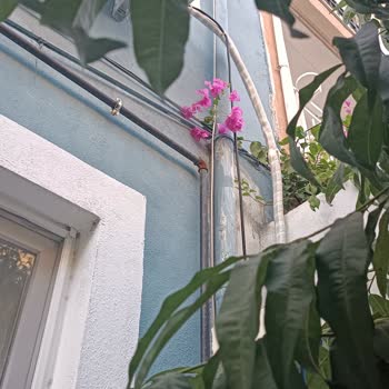 Baymak Mı Eksik Malzeme Gönderiyor Yoksa İzmir Kent Soğutmada Mı Sorun?