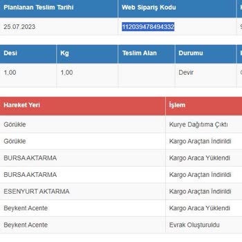 Sürat Kargo Bir Türlü Teslim Edilemeyen Kargo