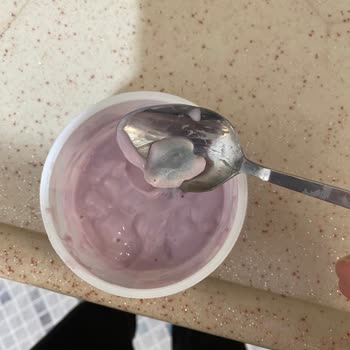 Sek Yaban Mersinli Yoğurt
