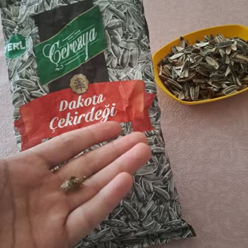 Çerezya Marka Çekirdek İçinden Çıkan Diken