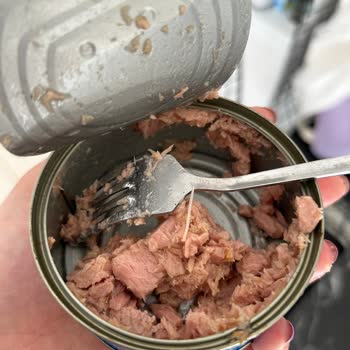 Superfresh Ton Balığından Kılçık Çıktı