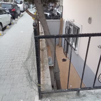 Esenyurt Belediyesi Ağaç Evin Bahçesine Zarar Veriyor