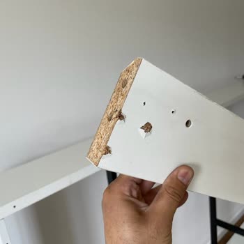 Kelebek Mobilya Kullanılmış Ve Eksik Ürün