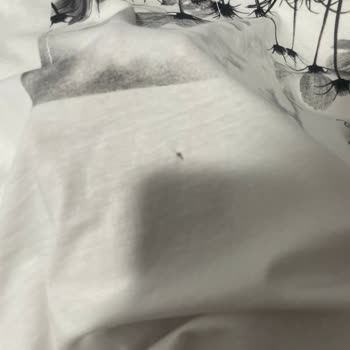 Yeni Beko Çamaşır Makinesi Kıyafetlerimi Deldi Mahkemeye Veriyorum!