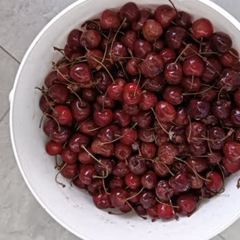 PTT Kargom Geç Ulaştı