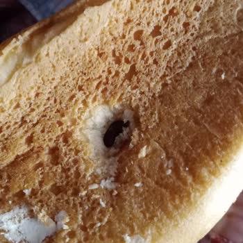 Başak Gıda Ekmecik Ekmek İçinden Çıkan Fare B. Ku