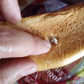 Başak Gıda Ekmecik Ekmek İçinden Çıkan Fare B. Ku