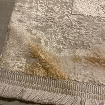 Hayat Halı Yıkama (Derince) Halımı Yakmış