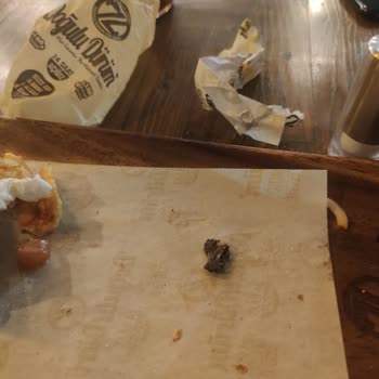 Doğulu Dürüm Dürüm İçinden Çıkan Kömür, Soğuk Çorba, Yanmış Tavuk Dürüm, İlgisiz P.