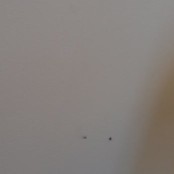 Duja Hotels Temizlik Ve İlgisizlik