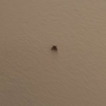 Duja Hotels Temizlik Ve İlgisizlik