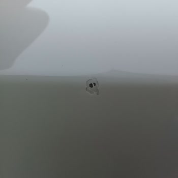 Varnish Peeling on My 2016 Skoda Superb Prestige in White