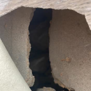 Sefa Konteyner Konteyner Zemin Çöktüğü Kullanamıyorum