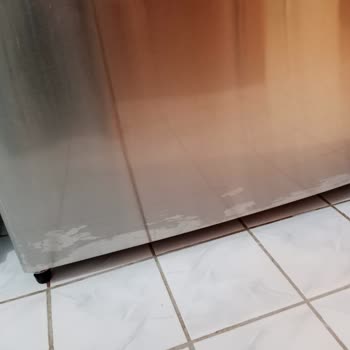 Bosch Buzdolabı Boya Atması