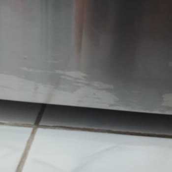 Bosch Buzdolabı Boya Atması