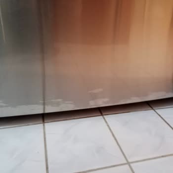 Bosch Buzdolabı Boya Atması