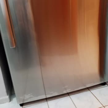 Bosch Buzdolabı Boya Atması