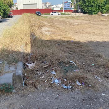 Buca Belediyesi Çevre Temizliği Ve Otların Temizlenmesi