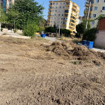 Buca Belediyesi Çevre Temizliği Ve Otların Temizlenmesi