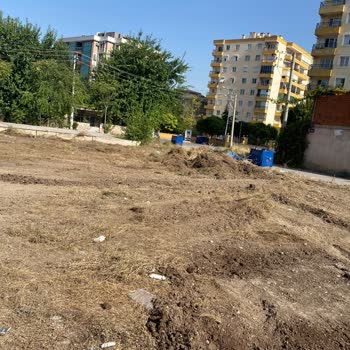 Buca Belediyesi Çevre Temizliği Ve Otların Temizlenmesi