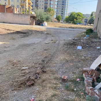 Buca Belediyesi Çevre Temizliği Ve Otların Temizlenmesi
