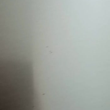 Profilo Buzdolabımın Üst Kapağında Meydana Gelen Paslanmalar