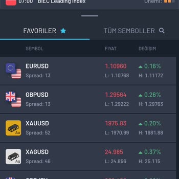 Avenva Markets Yatırım Şirketi Paramı Yatırmıyor