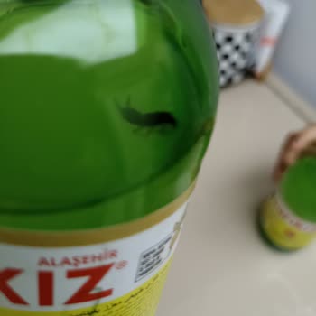 Sarıkız Maden Suyu Sodadan Böcek Çıktı