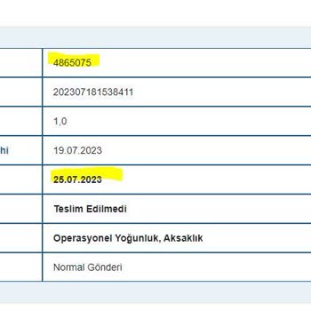 Borusan Lojistik Arçelik Buzdolabı Teslimatı Sorunu