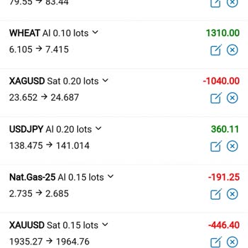 Winner Financial Market Mağdur Olma