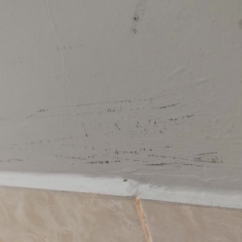 Bosch Süpürge Sorunları