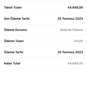 Birevim Dönme Dolap Oyunu