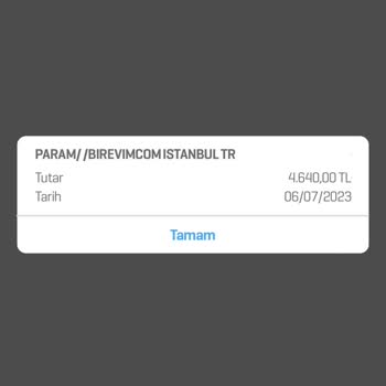 Birevim Dönme Dolap Oyunu