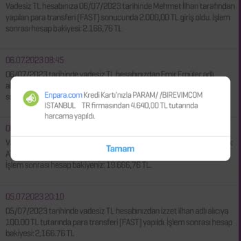 Birevim Dönme Dolap Oyunu