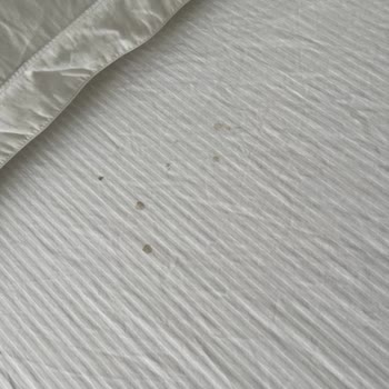 Palmira Hotel Otelin Hijyen Koşullarından Çok Uzak Bakımsızlığı.