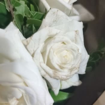 Çiçek Sepeti Solmuş Çiçek Gönderip İlgilenmiyor